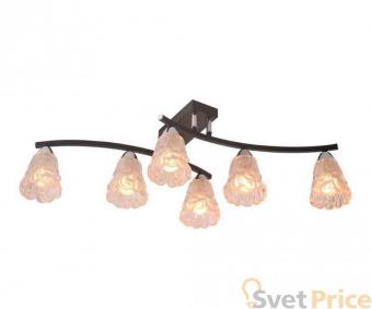 Потолочная люстра IDLamp Simone 217/6PF-Blackchrome