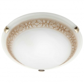 Потолочный светильник Brilliant Toulouse 90166/20