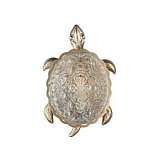 Настенный светодиодный светильник Favourite Turtle 2256-1W