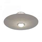 Потолочный светодиодный светильник ST Luce Alcosa SL931.502.01