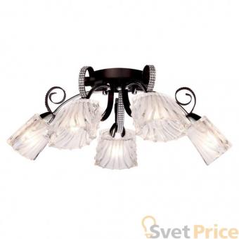 Потолочная люстра Silver Light Joy 232.59.5
