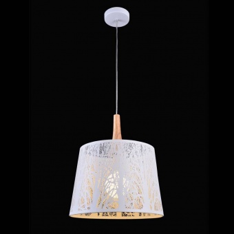 Подвесной светильник Maytoni Lantern F029-01-W