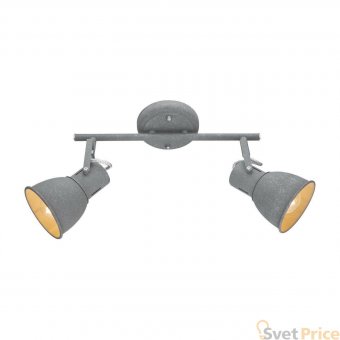 Спот Arte Lamp A1677PL-2GY