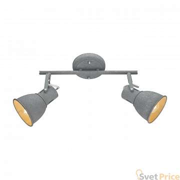 Спот Arte Lamp A1677PL-2GY