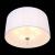 Потолочный светильник ST Luce Laconicita SL943.502.06