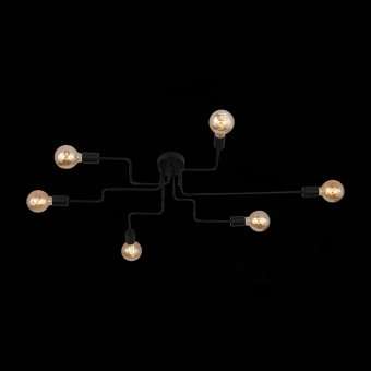 Потолочная люстра ST Luce Ano SL419.442.06
