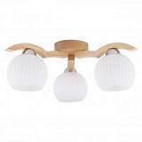Потолочная люстра Spot Light Vasa 5640360