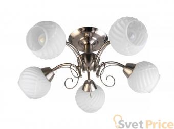 Потолочная люстра Toplight Dana TL3560X-05SN