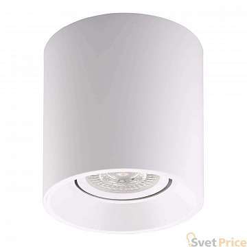 Потолочный светильник Denkirs DK3040-WH