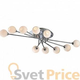 Люстра N-Light 127-10-33