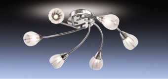 Потолочная люстра Odeon Posi 1613/8C