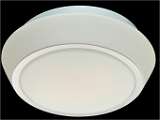 Потолочный светильник ST Luce Bagno SL496.502.03