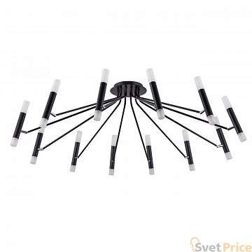 Потолочная люстра Maytoni Vigo MOD620CL-24B