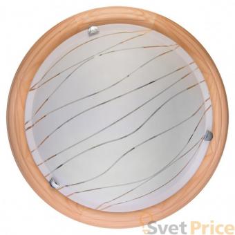 Настенно-потолочный светодиодный светильник Toplight Gabrielle TL9610Y-00PN