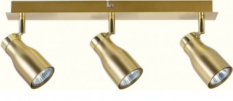 Спот Paulmann Tinka 66601