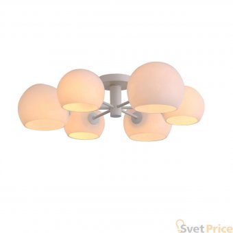 Потолочная люстра ST Luce Calmare SL434.502.06