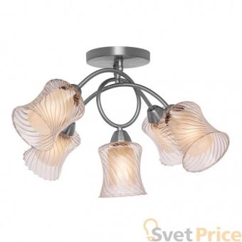 Потолочная люстра Silver Light Evita 132.55.5