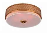 Потолочный светильник Divinare Biscotto 4005/01 PL-3