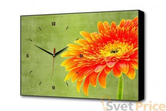 Настенные часы Цветочная улыбка Timebox Toplight 37х60х4см TL-C5032
