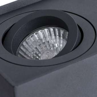 Потолочный светильник Arte Lamp Factor A5544PL-2BK