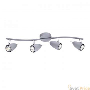 Спот Arte Lamp Regista A1966PL-4GY