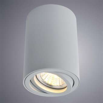 Потолочный светильник Arte Lamp A1560PL-1GY