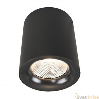 Потолочный светодиодный светильник Arte Lamp Facile A5118PL-1BK