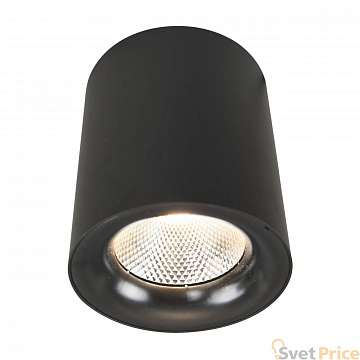 Потолочный светодиодный светильник Arte Lamp Facile A5118PL-1BK