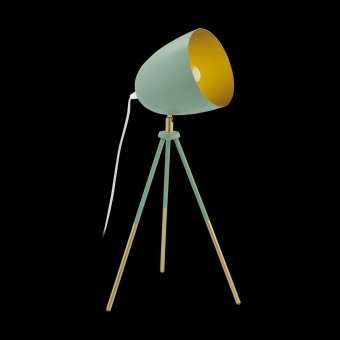 Настольная лампа Eglo Chester-P 49047