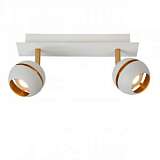 Светодиодный спот Lucide Binari Led 77975/10/31