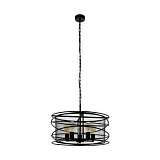 Подвесная люстра Eglo Blackwater 43093