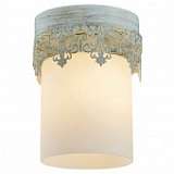 Потолочный светильник Lussole Lgo LSP-0050