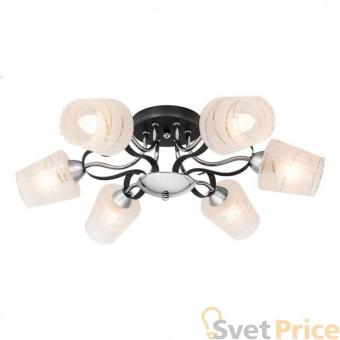 Потолочная люстра Silver Light Kin 224.59.6