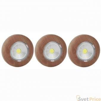 Настенный светодиодный светильник ЭРА Аврора COB SB-506