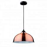 Подвесной светильник Spot Light Bristol 9711113
