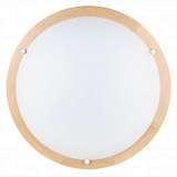 Настенно-потолочный светодиодный светильник Spot Light Frida 4753260