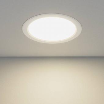 Вcтраиваемый светильник Elektrostandard Down Light 4690389055140