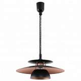 Подвесной светильник Eglo Brenda 31666