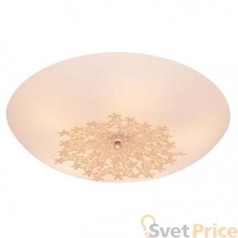 Потолочный светильник Silver Light Verbena 835.50.5