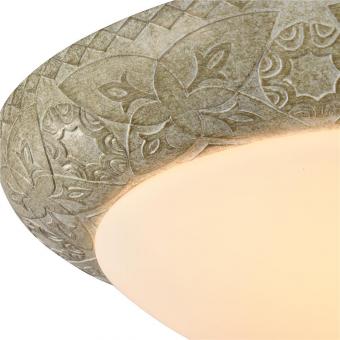 Потолочный светильник Maytoni Lorena C366-CL-02-BG