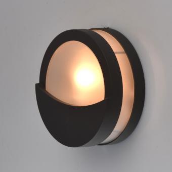 Уличный настенный светильник MW-Light Меркурий 807022101