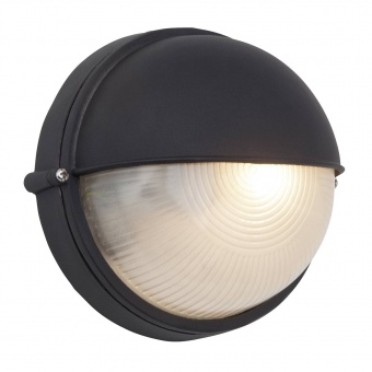 Уличный настенный светильник Brilliant Tweety 96107/06