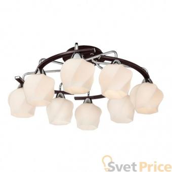 Потолочная люстра Silver Light Aranda 228.59.8