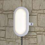 Пылевлагозащищенный светильник Elektrostandard LTB0102D LED 17 см 6W белый 4690389099106