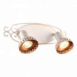Спот Arte Lamp Focus A5219AP-2WG