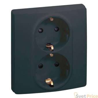 Розетка 2X2К+З Legrand Etika 16A 250V с/з со шторками безвинтовой зажим немецкий стандарт антрацит 672633