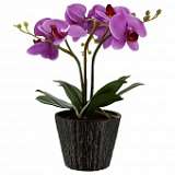 Настольная лампа Globo Flowerpower 28003