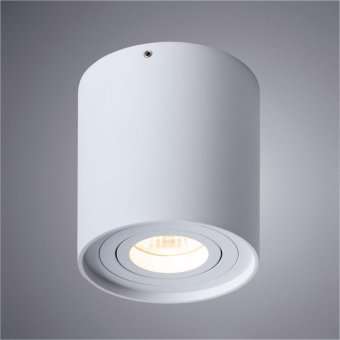 Потолочный светильник Arte Lamp Falcon A5645PL-1WH
