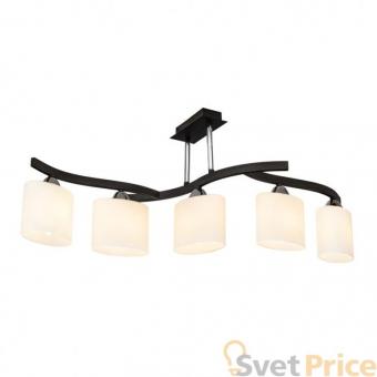 Потолочная люстра Silver Light Astoria 234.59.5