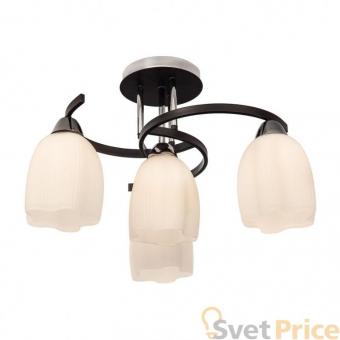 Потолочная люстра Silver Light Meduse 102.59.4